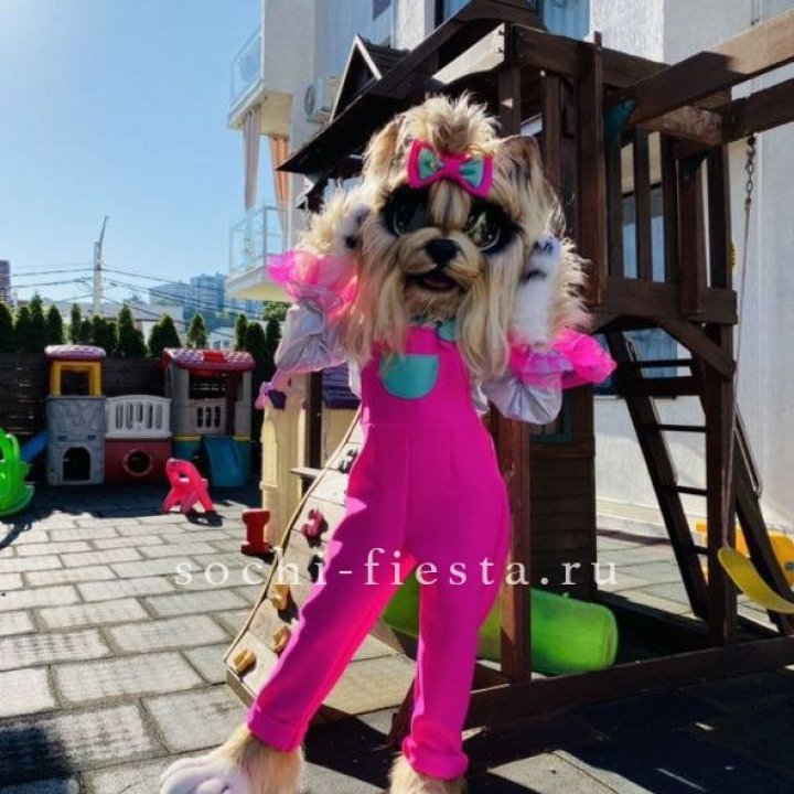 Аниматор Гламурная Собака в Ставрополи