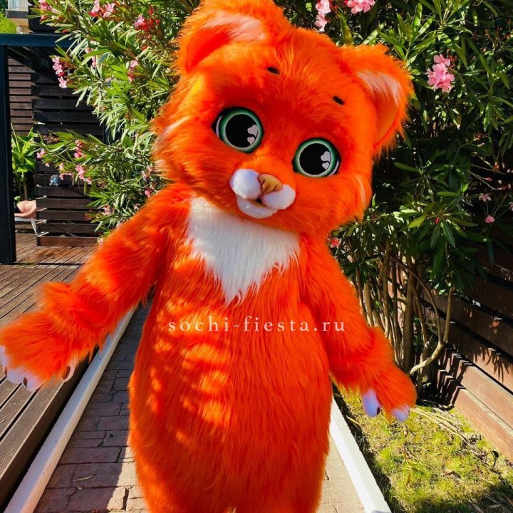 Аниматор Котик в Ставрополи