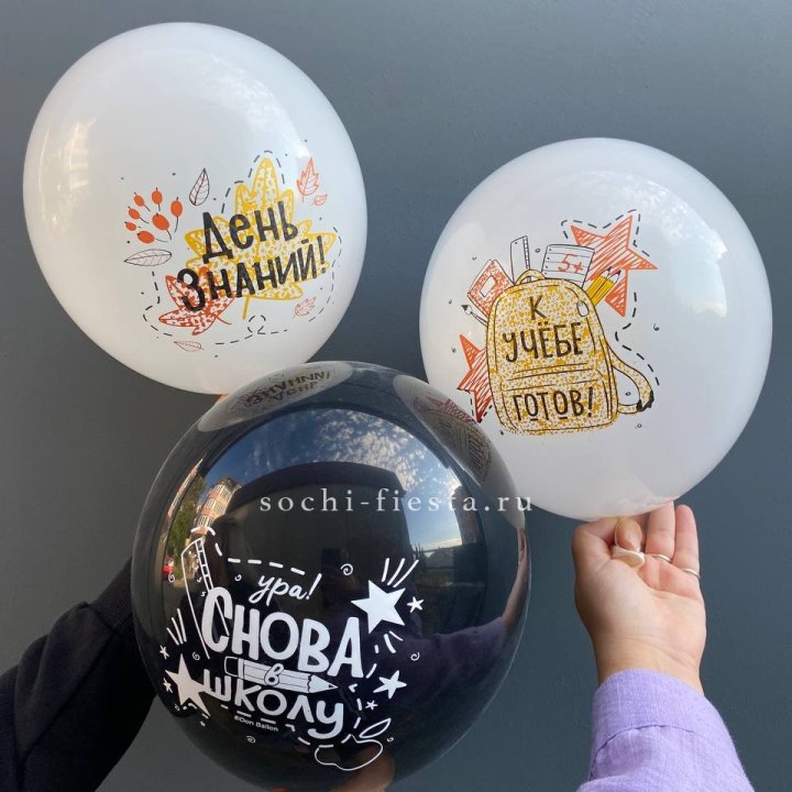 Воздушный шар к 1 сентября в Ставрополи