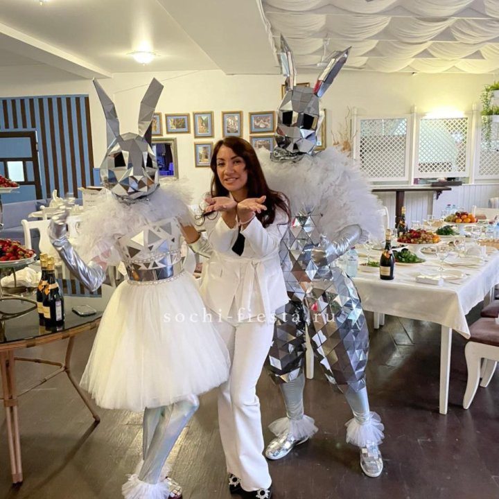 Аниматор Зеркальный заяц в Ставрополи