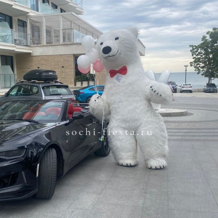 Аниматор Белый Медведь в Ставрополи