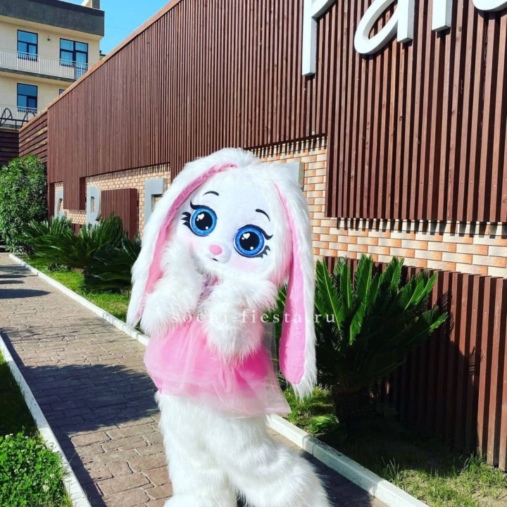 Аниматор Зайка в Ставрополи