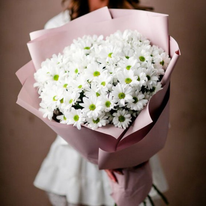 Букет хризантем №2 в Ставрополи