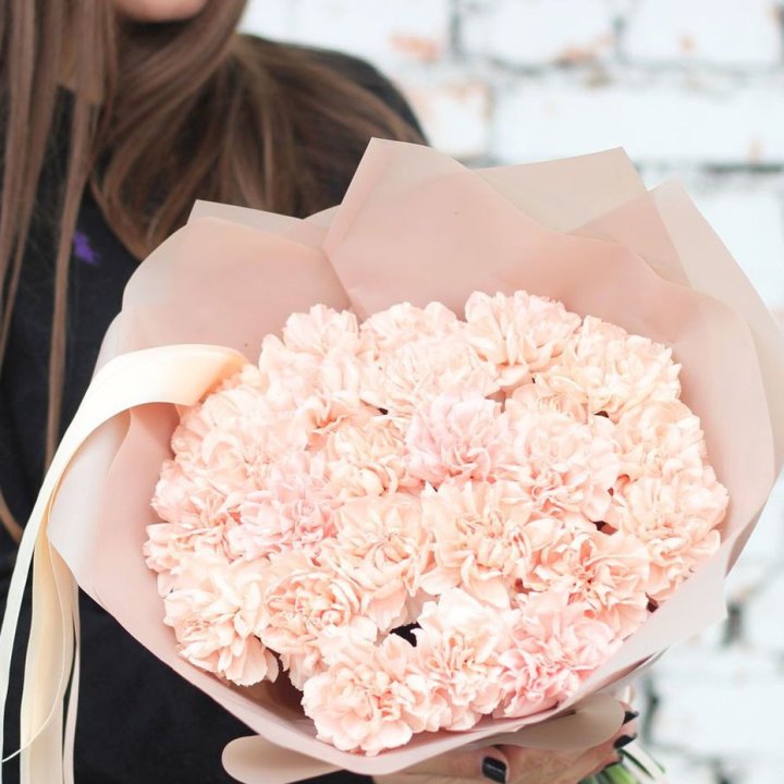 Диантусы №2 в Ставрополи