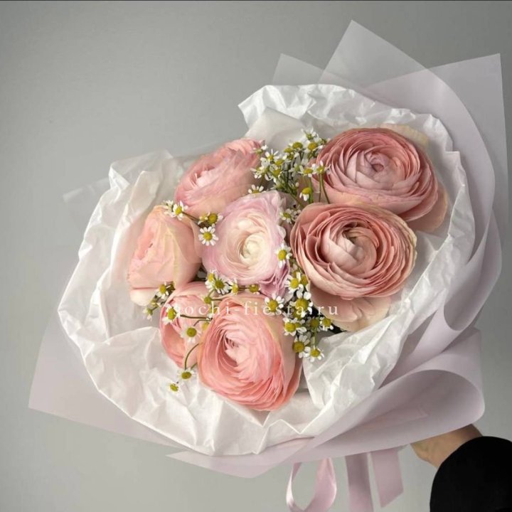 Ранункулюсы с ромашками в Ставрополи