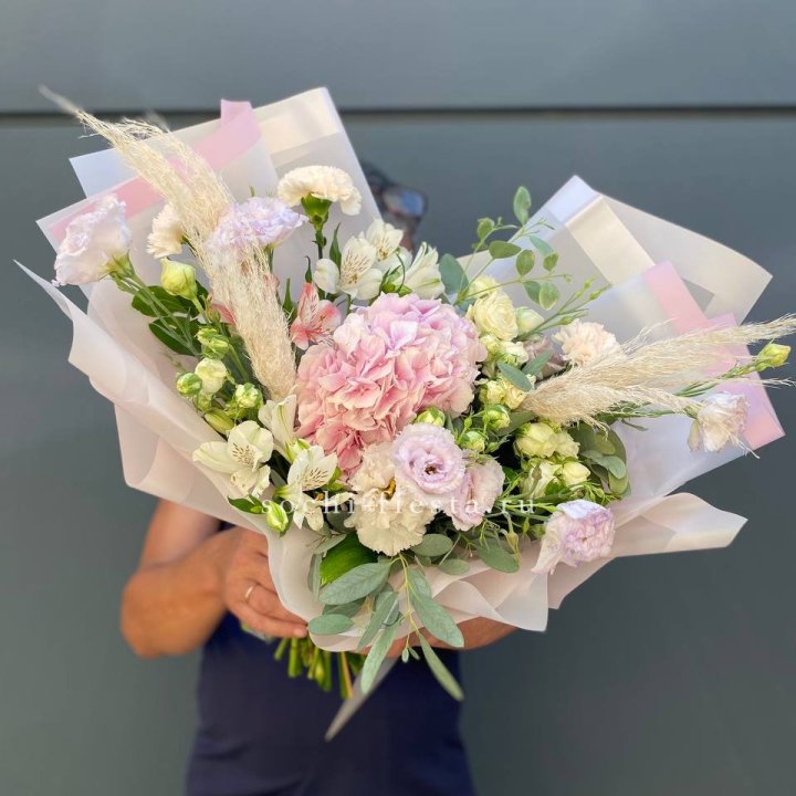 Гортензия "Пинк флоид" в Ставрополи