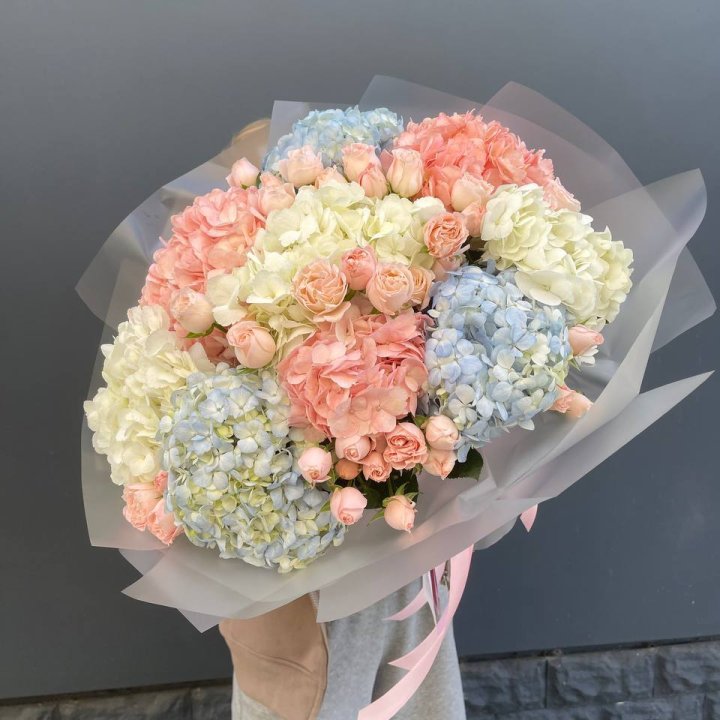 Дуо гортензии и бомбастик в Ставрополи