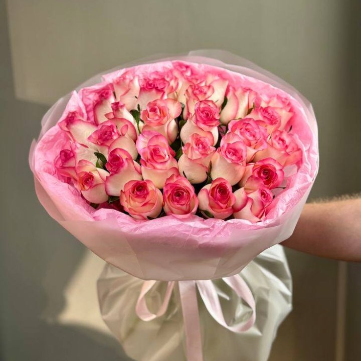 29 джумилий в Ставрополи