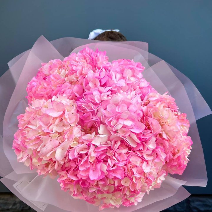 9 ярко розовых гортензий в Ставрополи