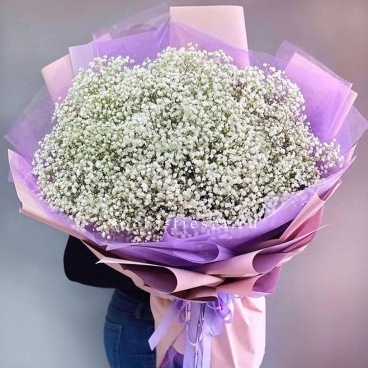 Облако белых гипсофил в Ставрополи