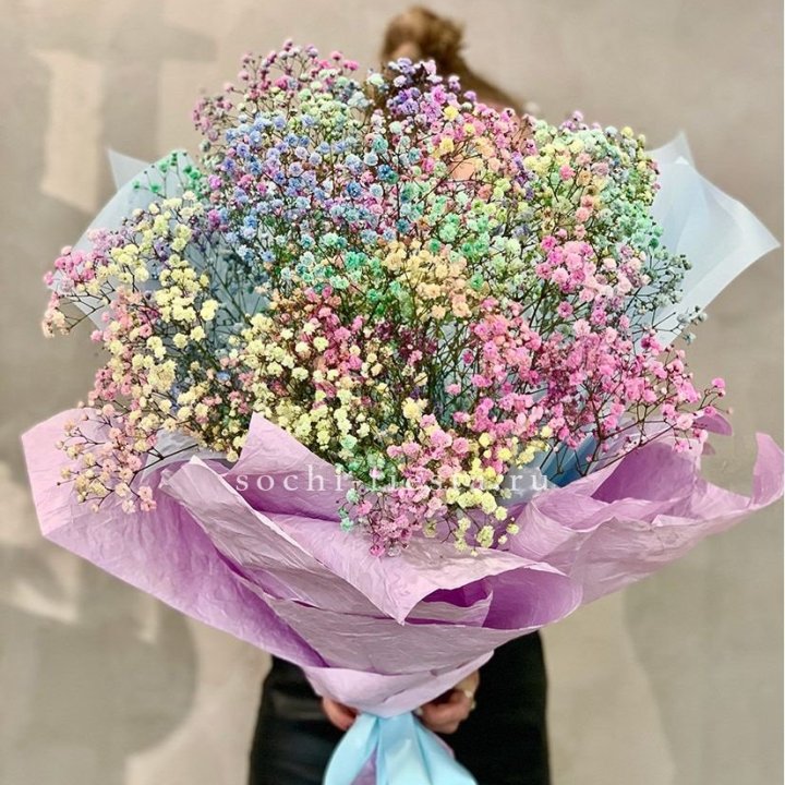 Радужные гипсофилы №2 в Ставрополи