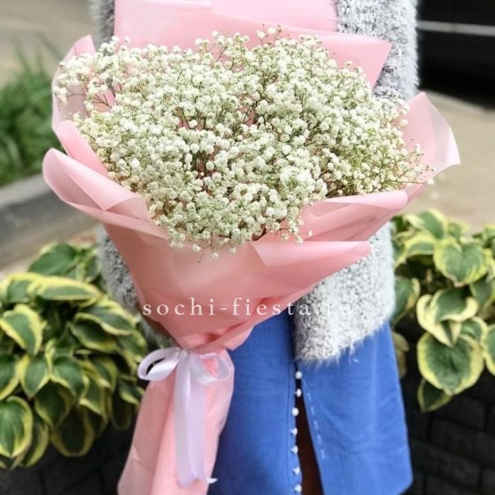 Белоснежные гипсофилы в Ставрополи