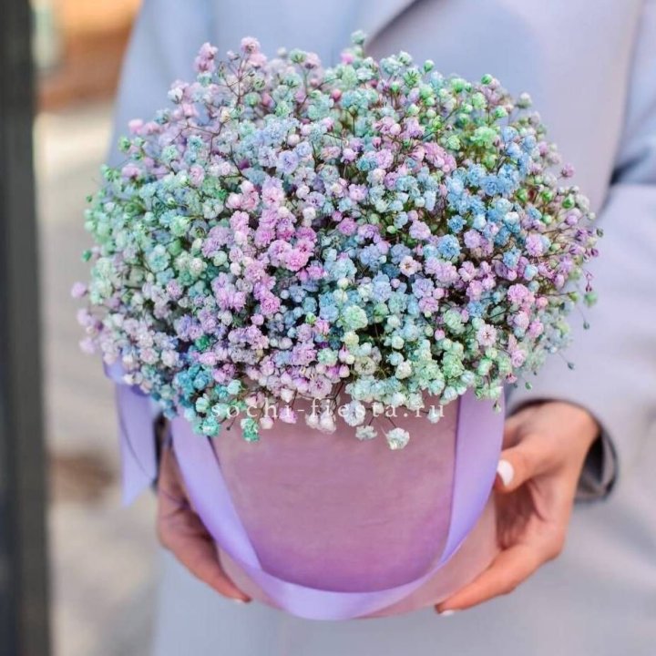 Гипсофилы в шляпной коробке "Кандилайт" в Ставрополи