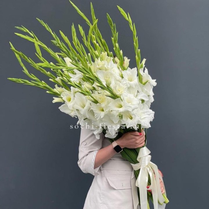 19 белых гладиолусов под ленту в Ставрополи