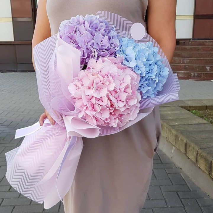 Букет гортензий "Пуф" в Ставрополи