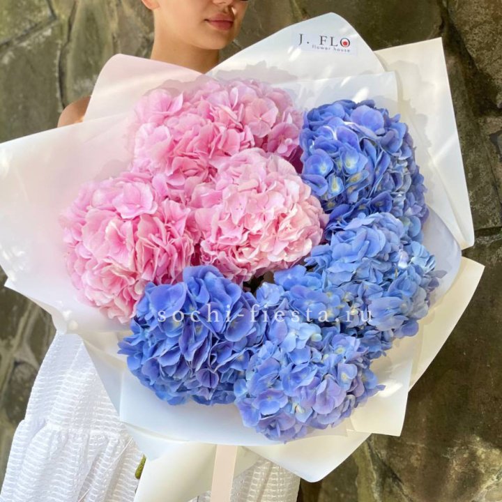Букет гортензий №1 в Ставрополи