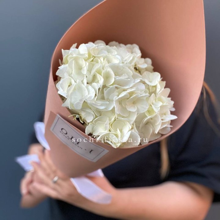 Гортензия в конверте в Ставрополи