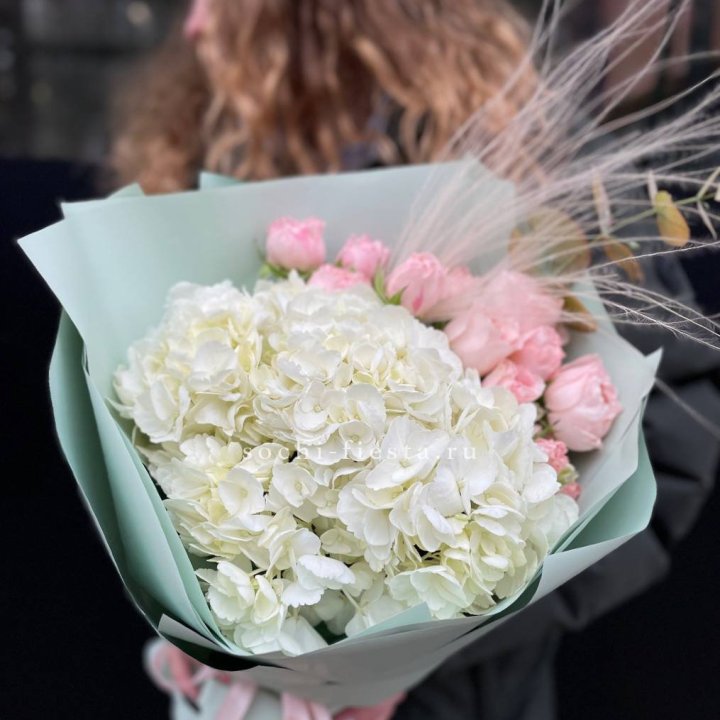 Гортензия "Жасмин" в Ставрополи