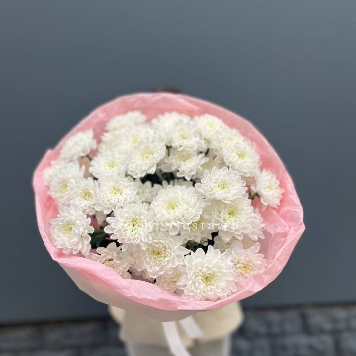  5 хризантем  в Ставрополи