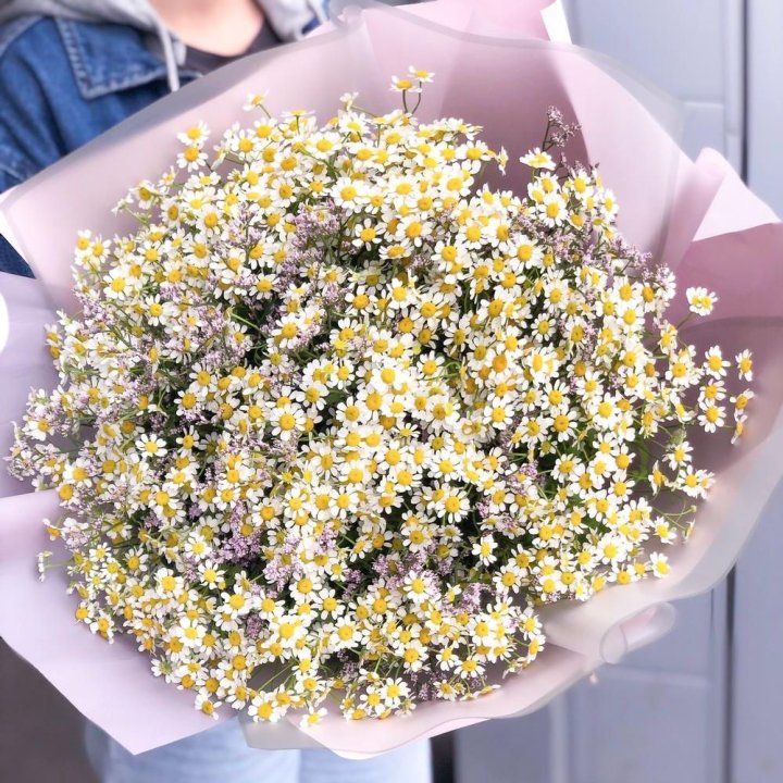Букет ромашек №1 в Ставрополи