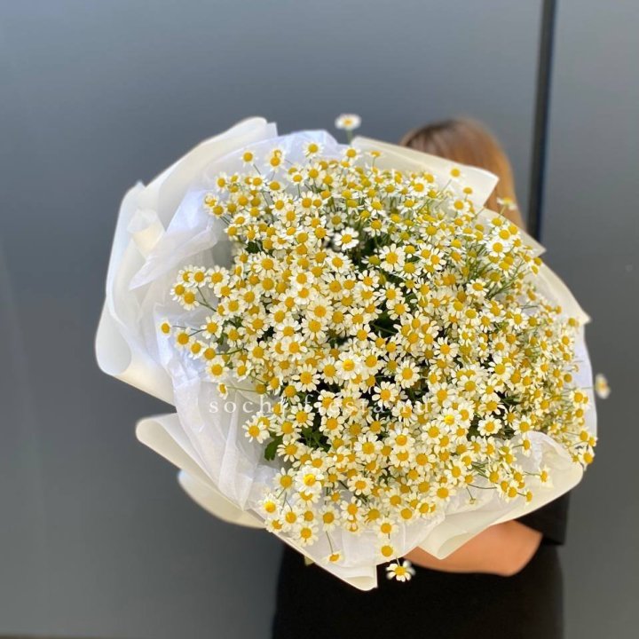 Букет ромашек "Фемели" в Ставрополи