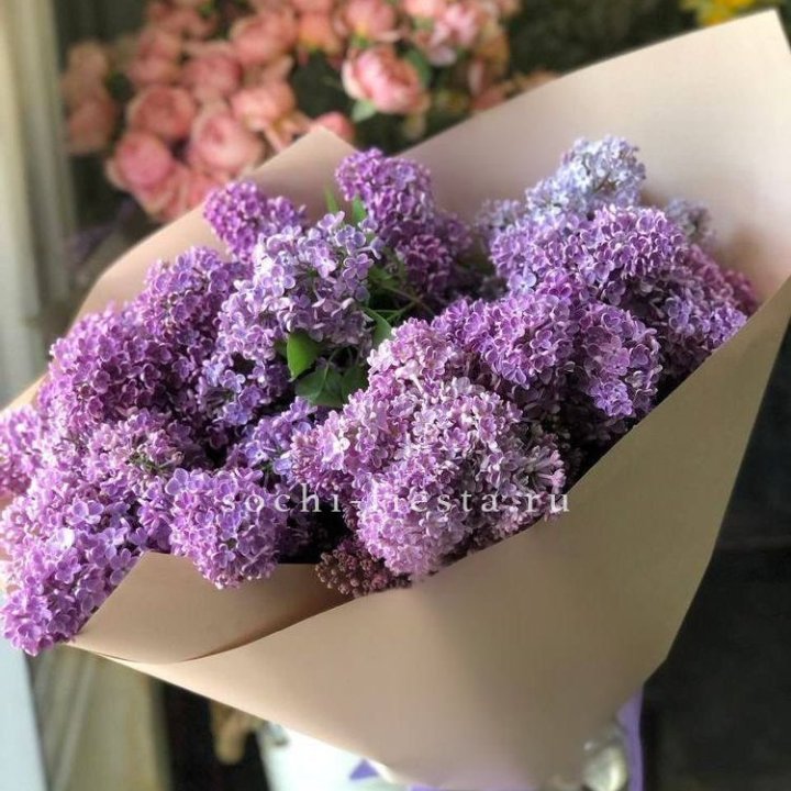 Букет сирени №2 в Ставрополи