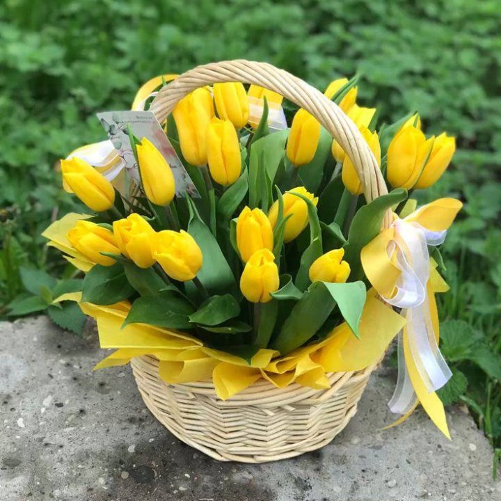 25 желтых тюльпанов в корзине в Ставрополи