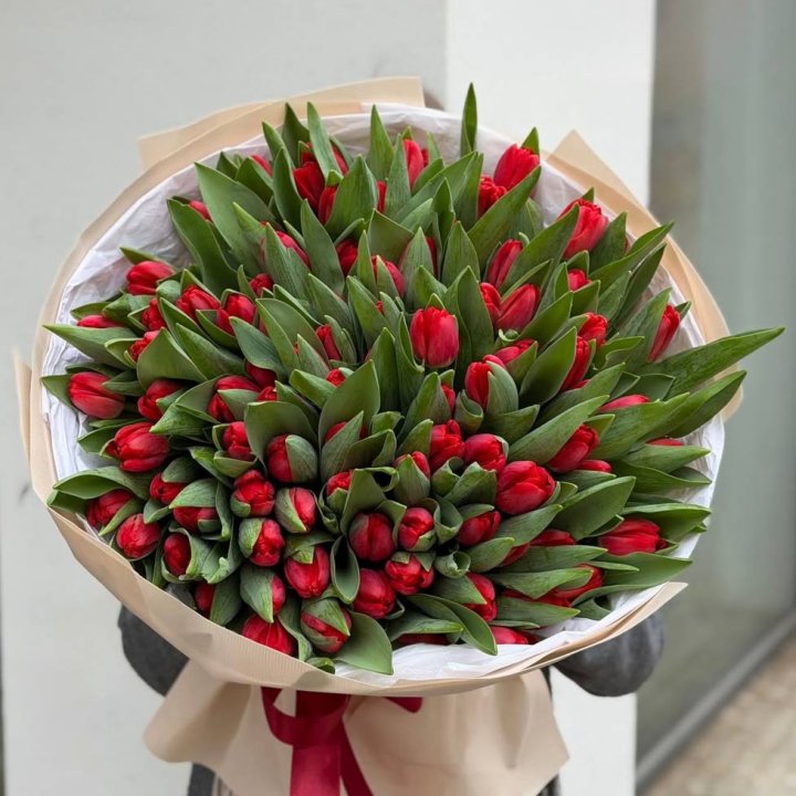 101 красный тюльпан в Ставрополи