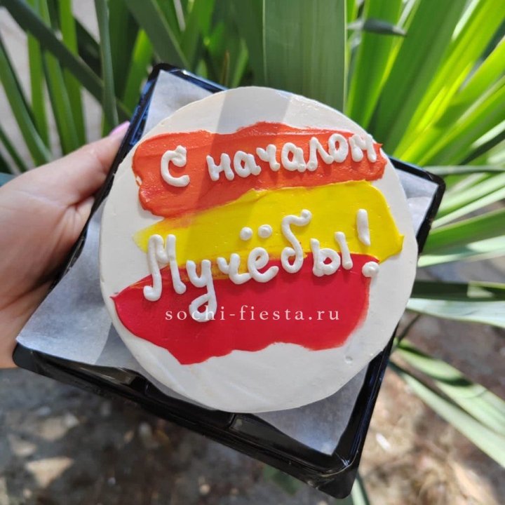 Бенто-торт "С началом учёбы"" в Ставрополи