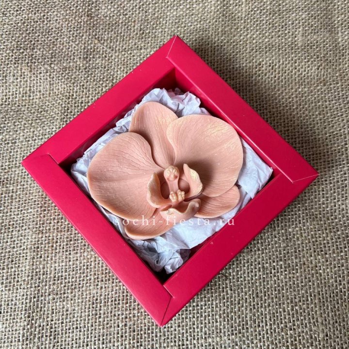 Бельгийский шоколад Орхидея в Ставрополи