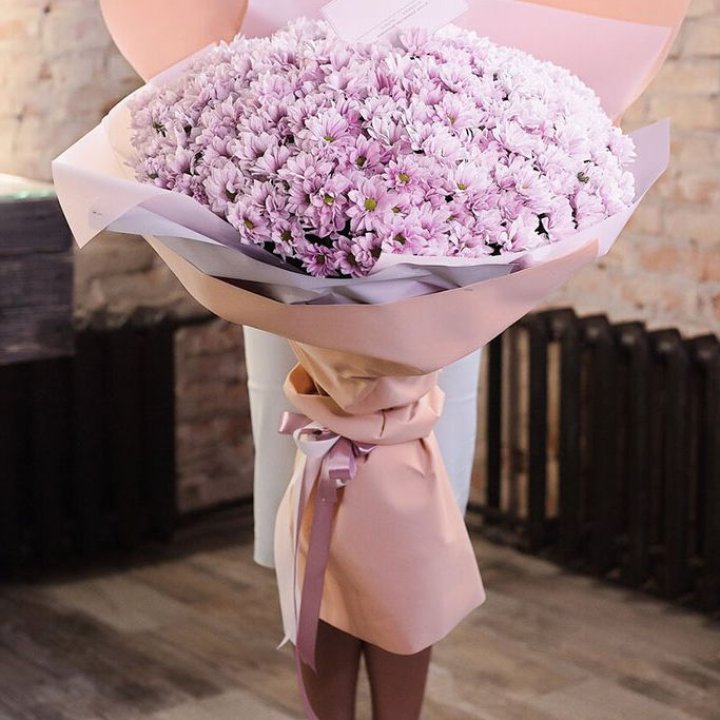 Облако хризантем №1 в Ставрополи