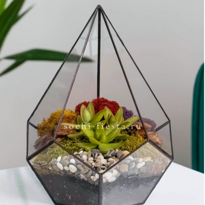 Флорариум Капля с суккулентом в Ставрополи