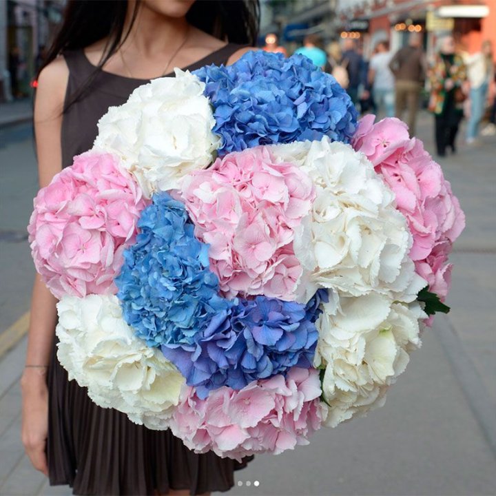 Букет гортензий "Инь-Янь" в Ставрополи