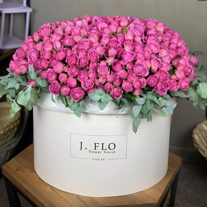 Цилиндр с Мисти Бабблс  в Ставрополи