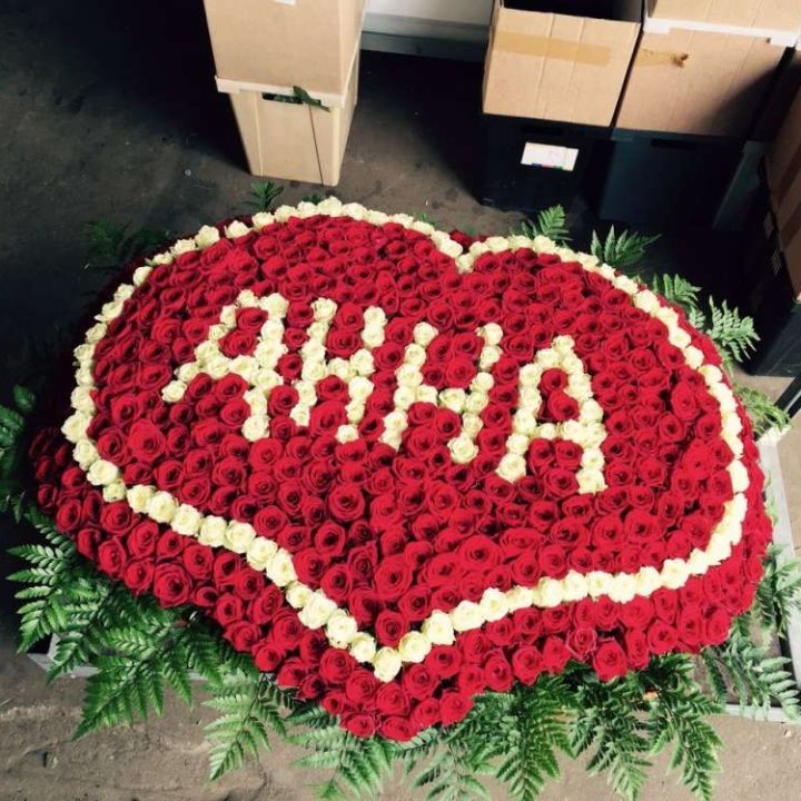 555 роз с именем в Ставрополи