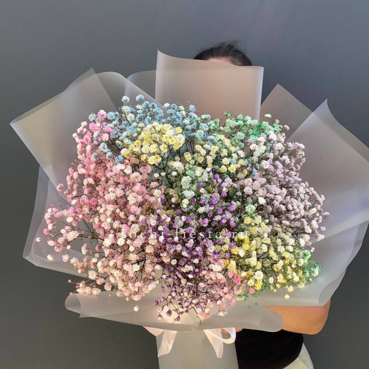 Радужные гипсофилы  в Ставрополи