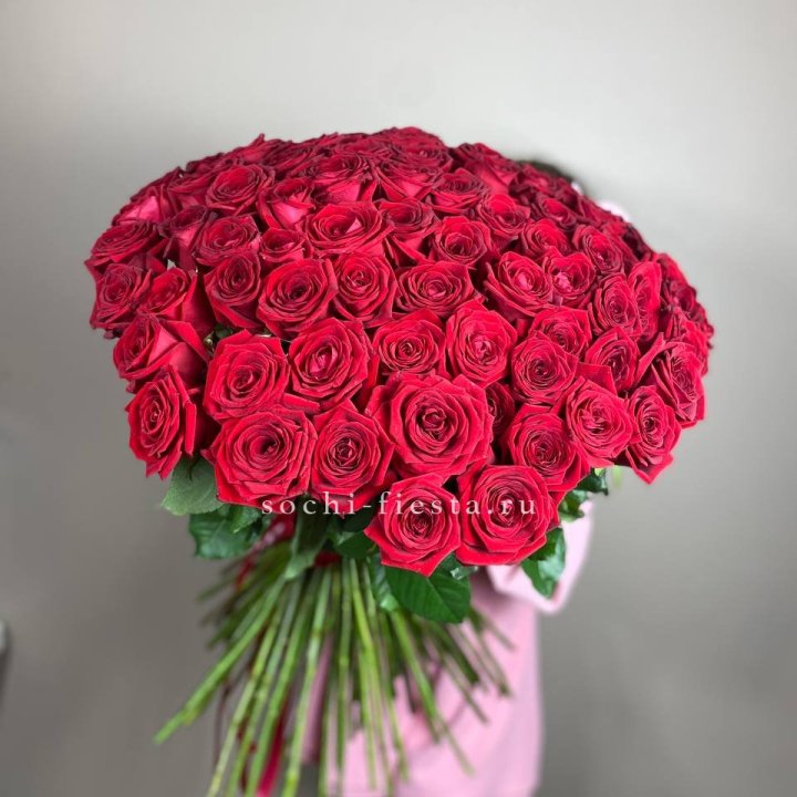101  голландская роза  в Ставрополи