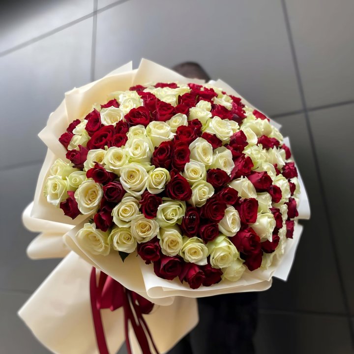 101 высокая импортная роза  в Ставрополи