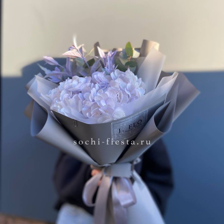 Гортензия "Виолета" в Ставрополи