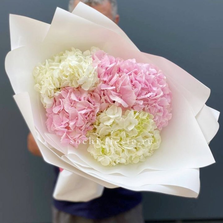 Букет гортензий №5 в Ставрополи