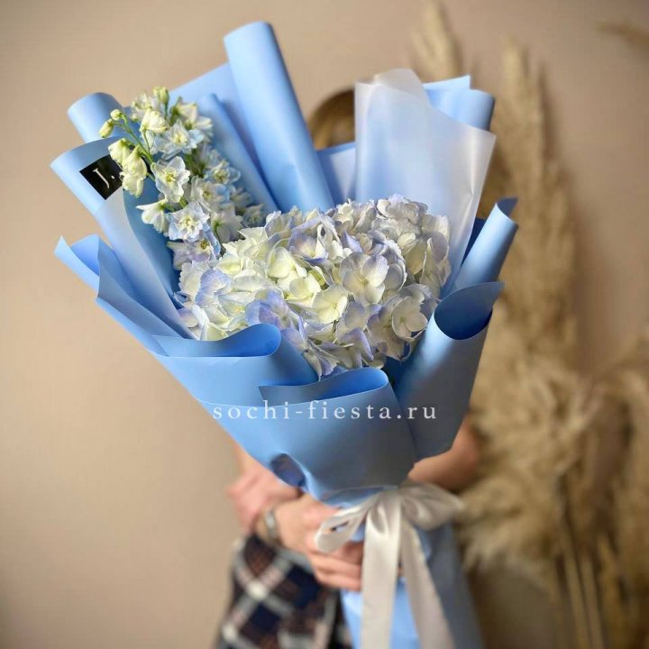 Гортензия "Блю скай" в Ставрополи
