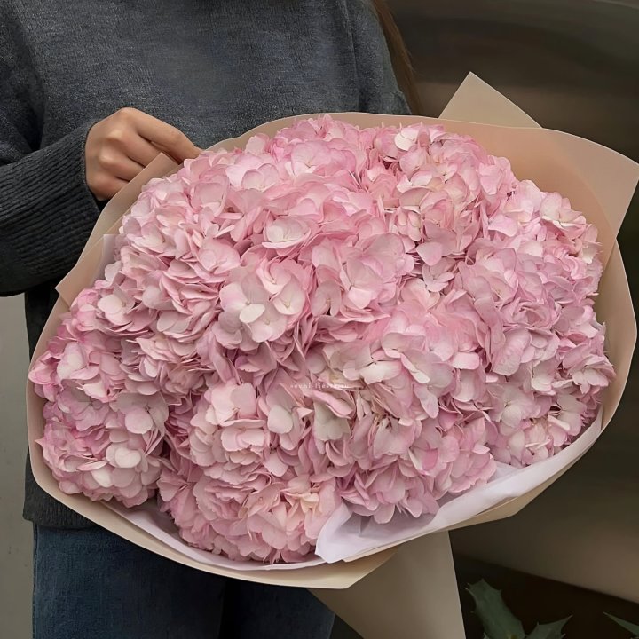 Гортензия  "РОЗЕ" в Ставрополи