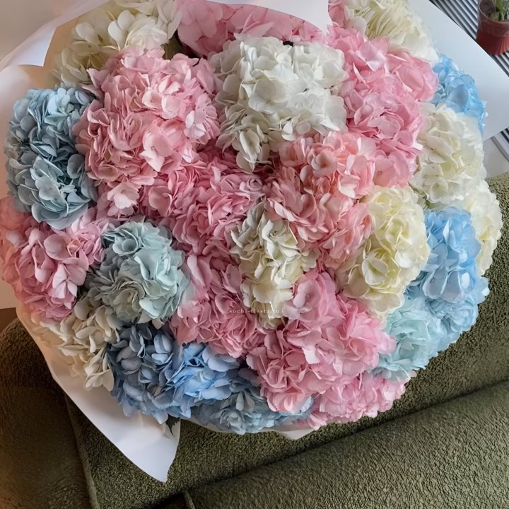 Букет гортензий микс в Ставрополи