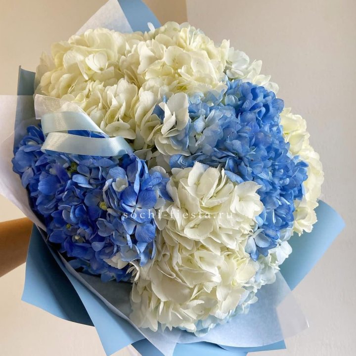 Букет гортензий "Голубая лаза" в Ставрополи