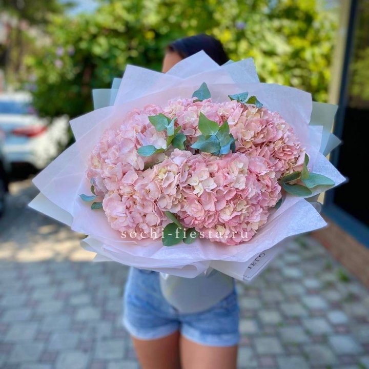5 розовых гортензий  в Ставрополи