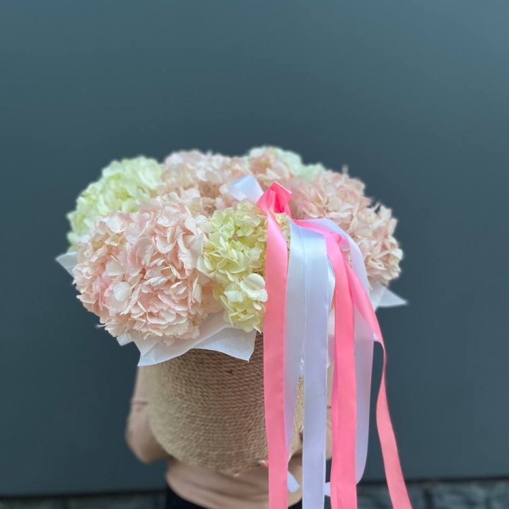 7 гортензий в кашпо в Ставрополи