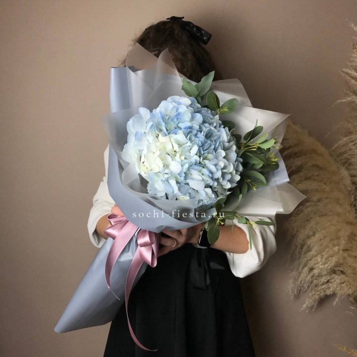 Гортензия Уно в Ставрополи