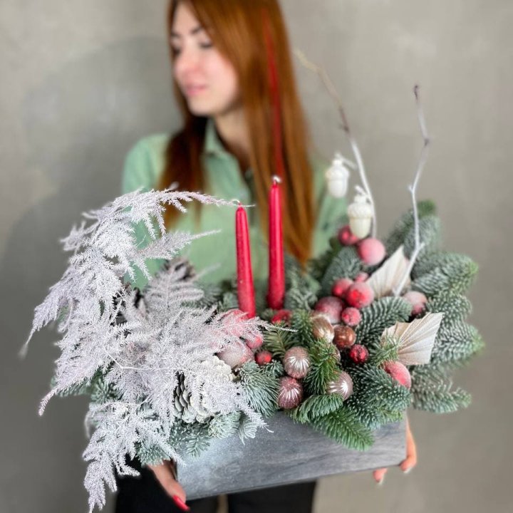 Бокс красный с нобилисом в Ставрополи