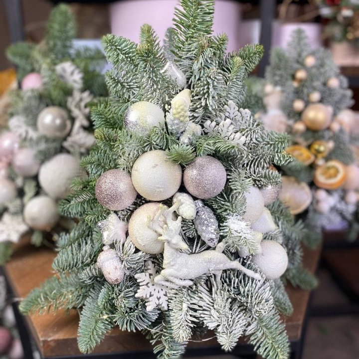 Ёлочка "Хепи крисмас" в Ставрополи