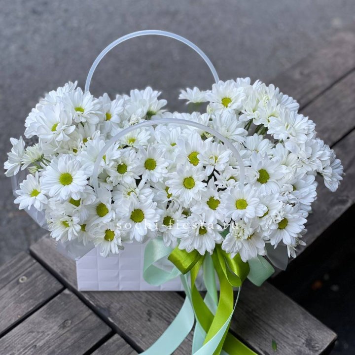 Сумка с хризантемами ромашками в Ставрополи